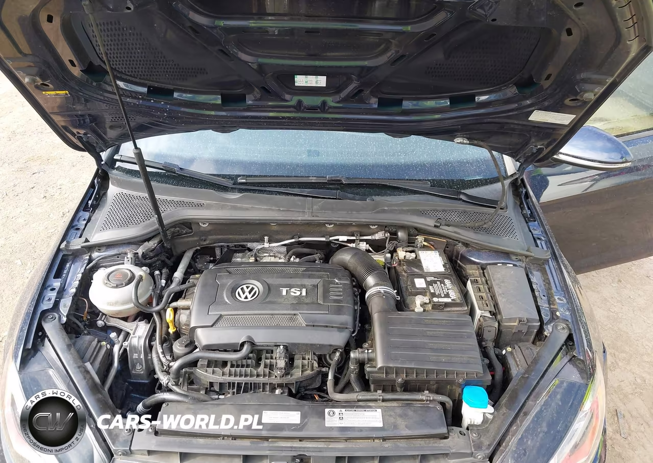 2018 Volkswagen Golf Gti 2.0T Autobahn-2.0T S-2.0T Se VIN:3VW447AU6JM294015 - 10