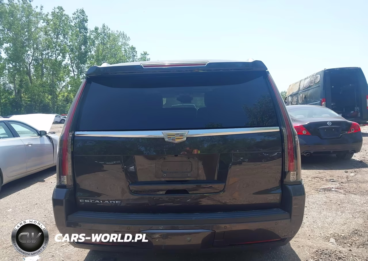 2016 CADILLAC ESCALADE PLATINUM VIN:1GYS4DKJ1GR137751 - 17