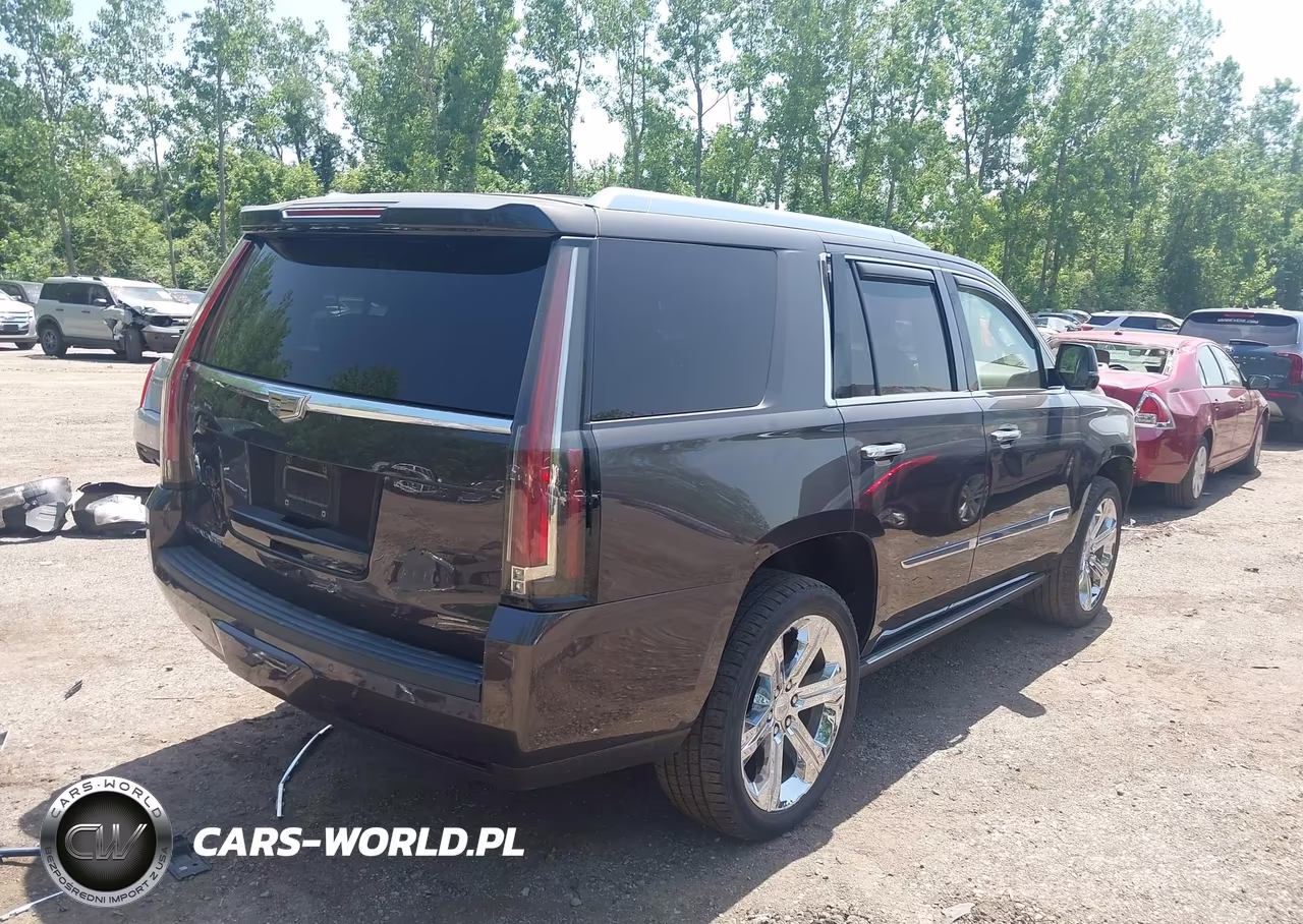 2016 CADILLAC ESCALADE PLATINUM VIN:1GYS4DKJ1GR137751 - 4