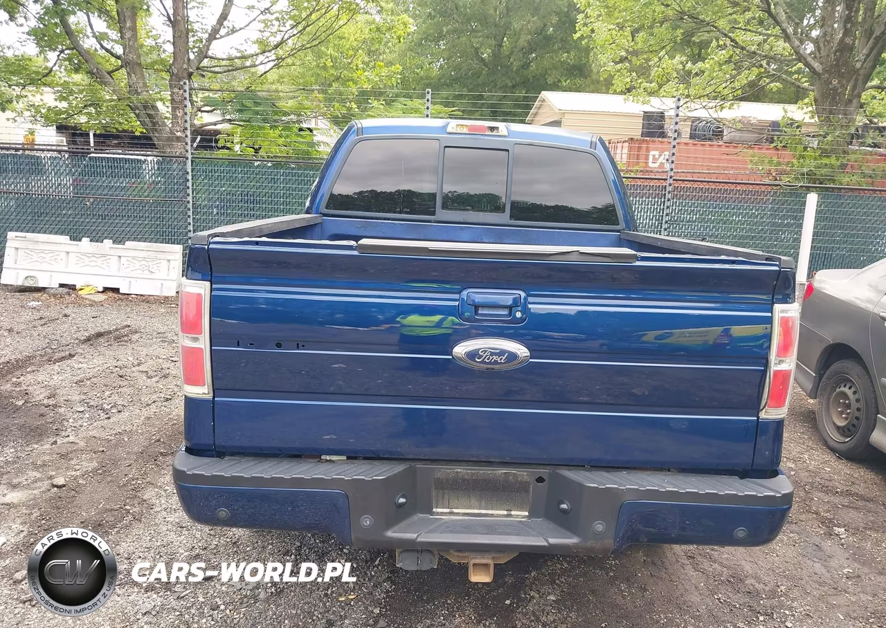 2010 Ford F-150 Fx2 Sport-Harley-Davidson-King Ranch-Lariat-Platinum-Xl-Xlt VIN:1FTFW1CV0AFA86060 - 16