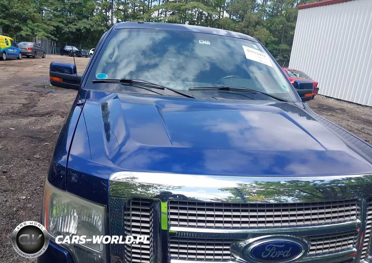 2010 Ford F-150 Fx2 Sport-Harley-Davidson-King Ranch-Lariat-Platinum-Xl-Xlt VIN:1FTFW1CV0AFA86060 - 6