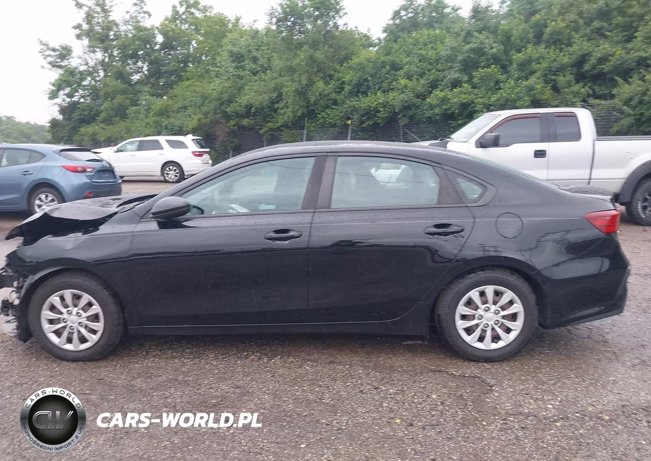 2019 Kia Forte Fe VIN:3KPF24AD2KE079727 - 15