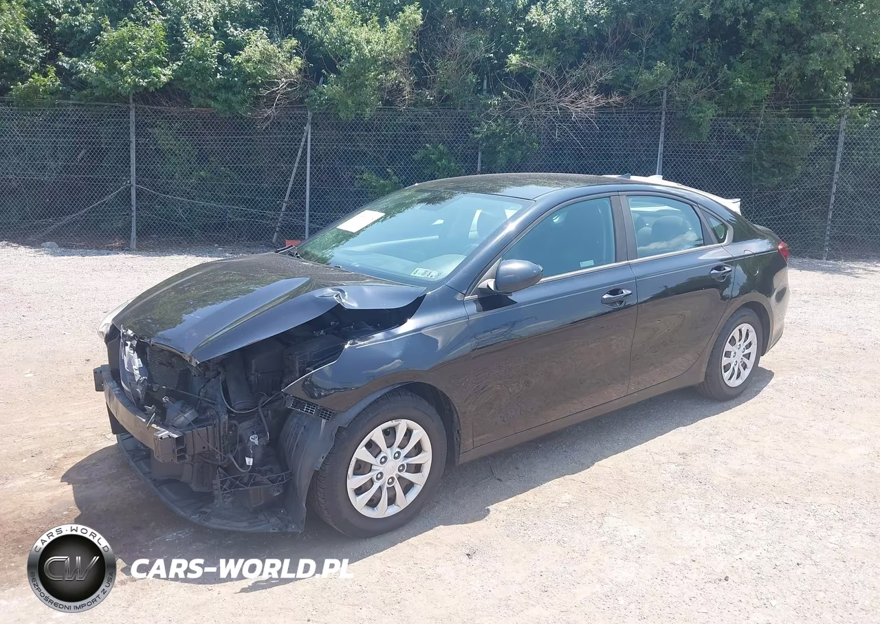 2019 Kia Forte Fe VIN:3KPF24AD2KE079727 - 2