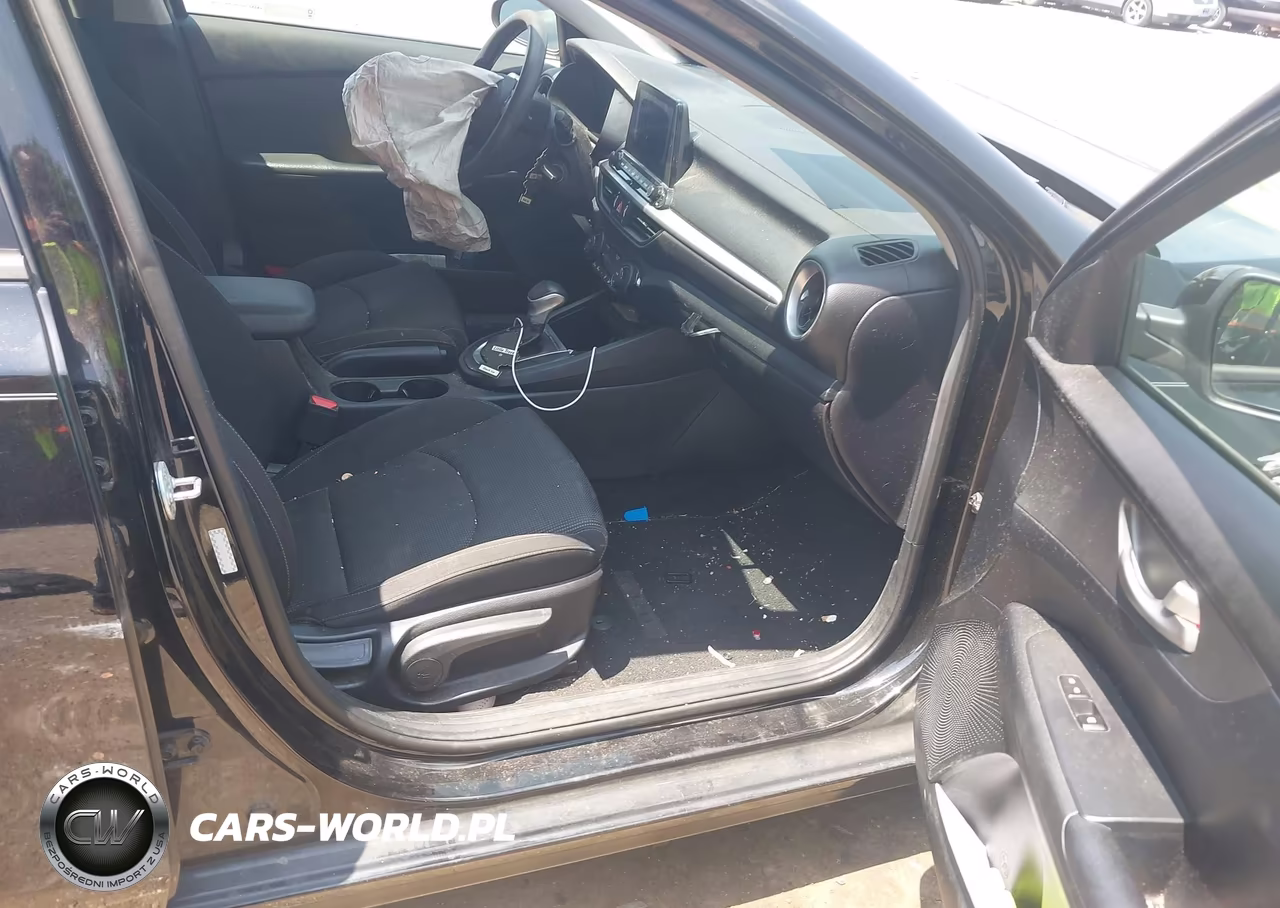 2019 Kia Forte Fe VIN:3KPF24AD2KE079727 - 8