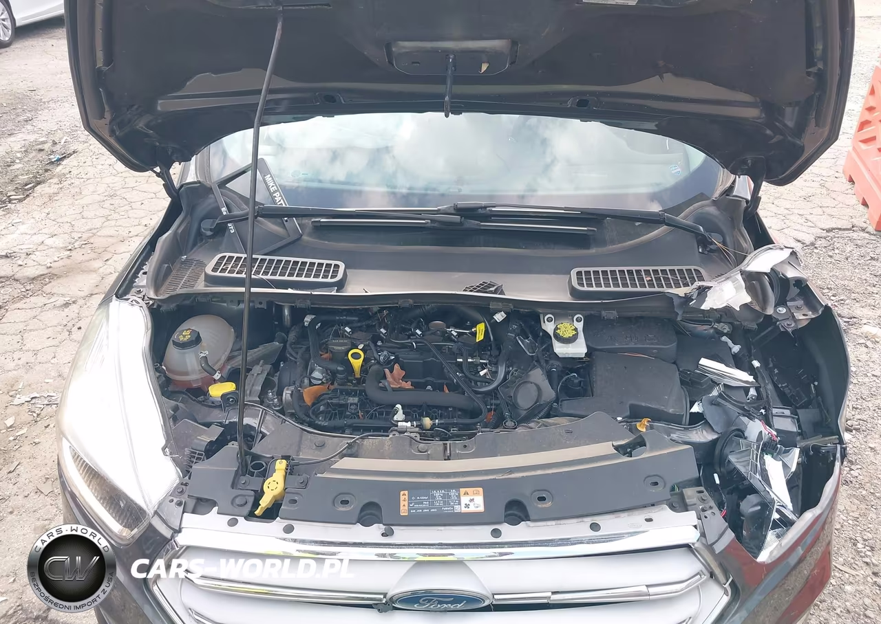 2019 Ford Escape Se VIN:1FMCU9GDXKUA42648 - 10