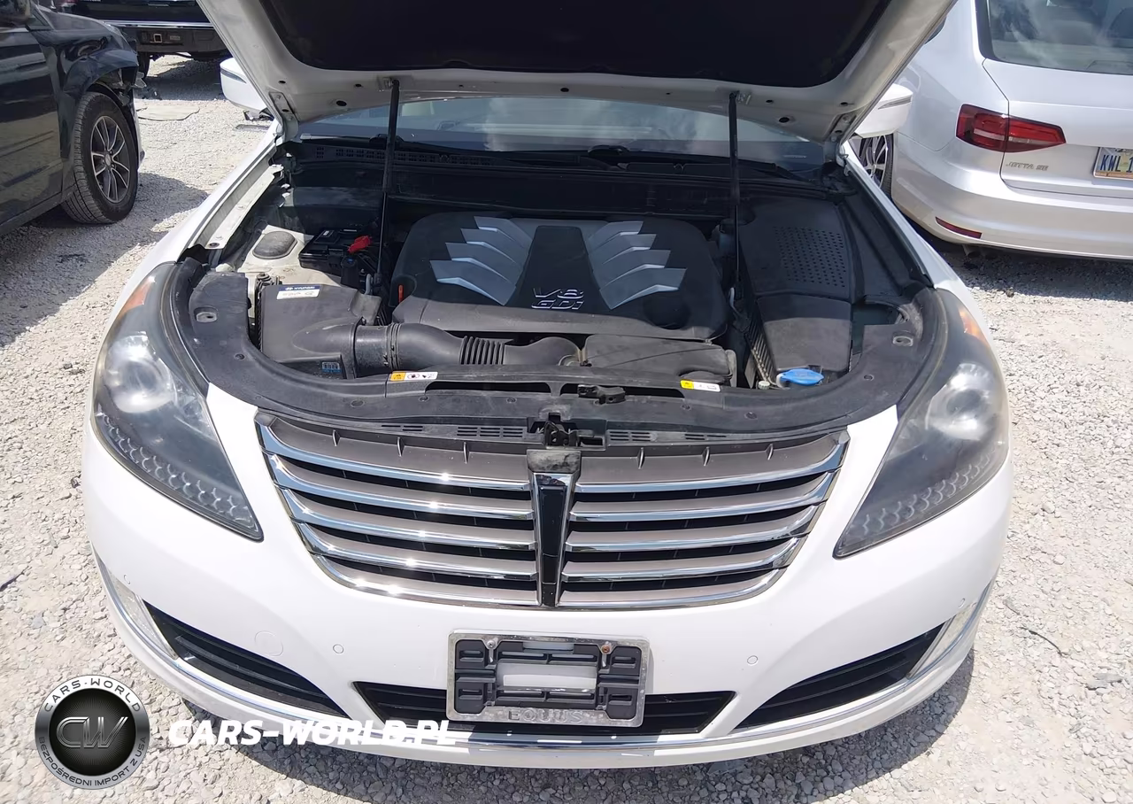 2014 Hyundai Equus Signature VIN:KMHGH4JHXEU077392 - 10