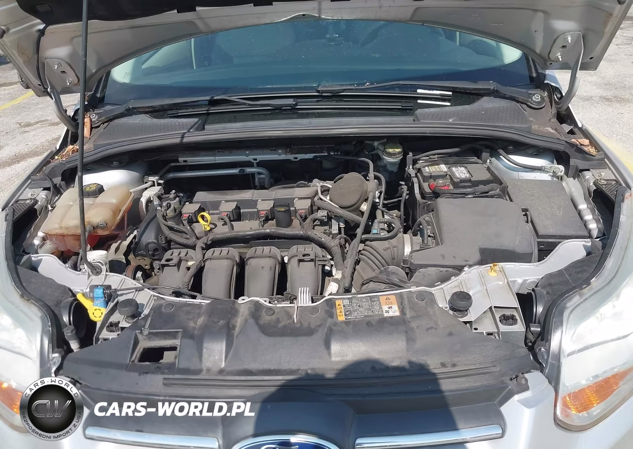 2014 Ford Focus Se VIN:1FADP3F24EL410755 - 10