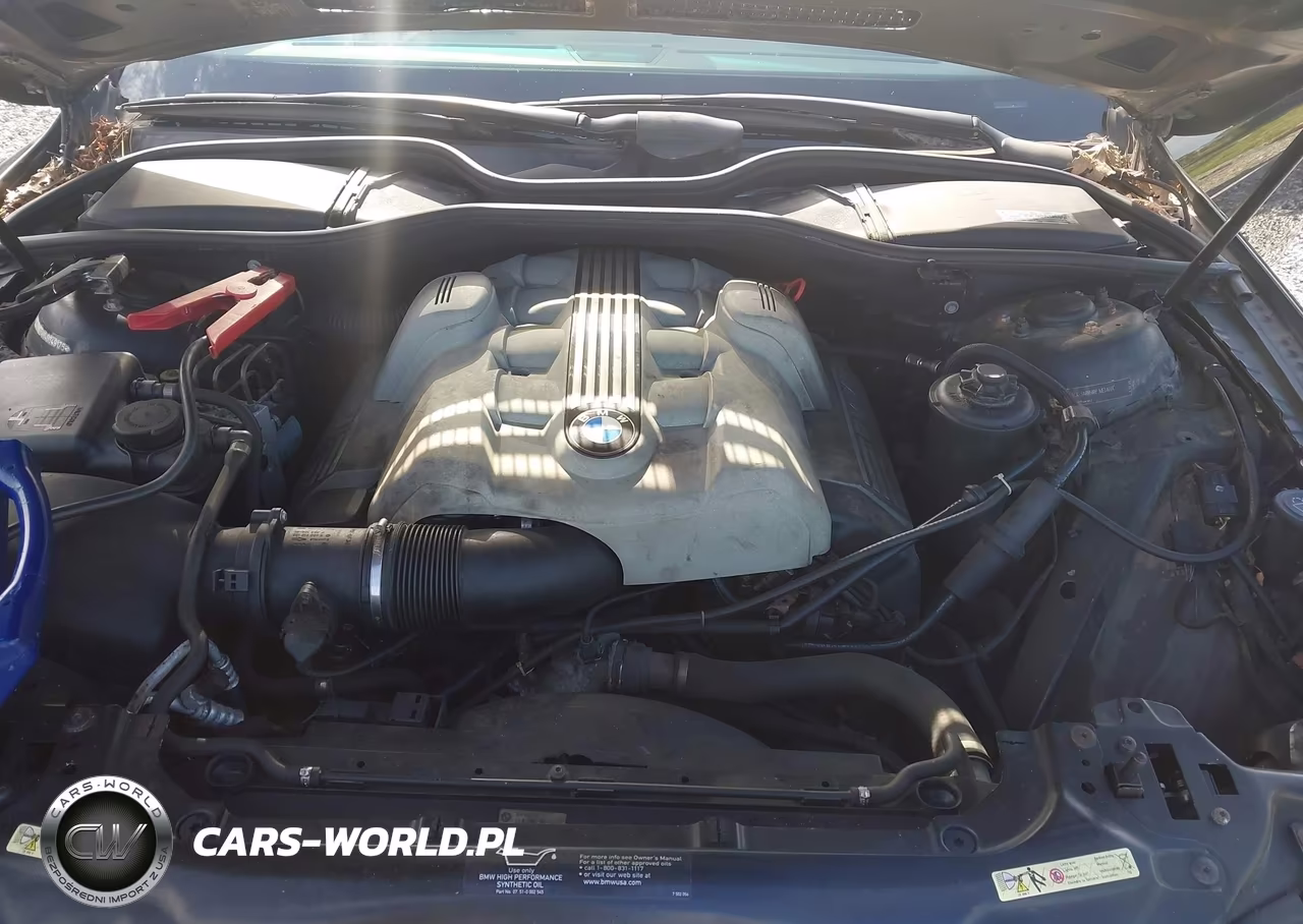 2004 BMW 745Li VIN:WBAGN634X4DS49175 - 10