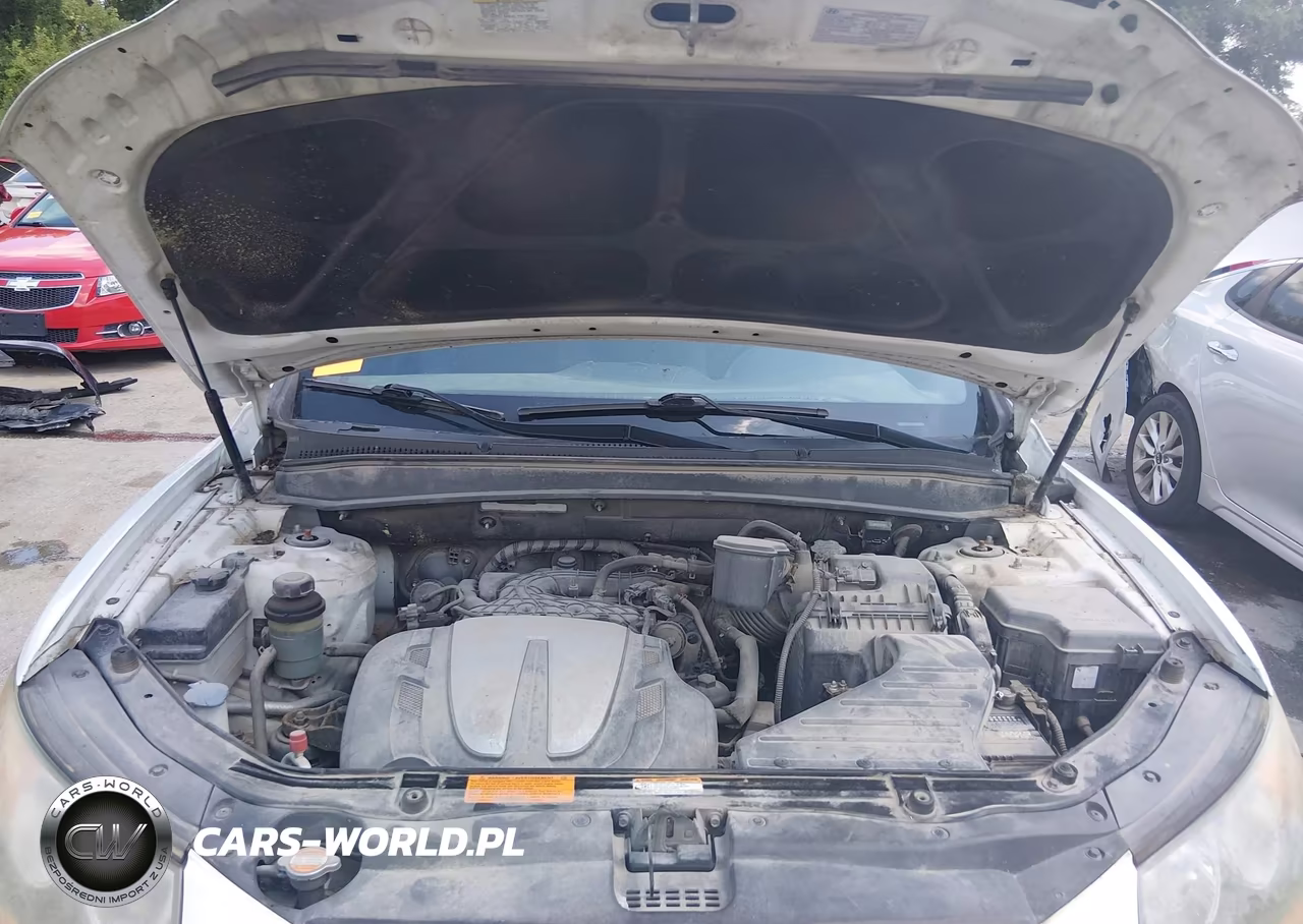 2010 Hyundai Santa Fe Se VIN:5NMSHDAG9AH356159 - 10