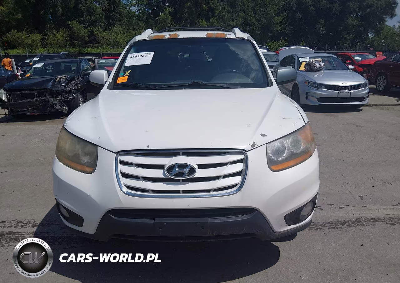 2010 Hyundai Santa Fe Se VIN:5NMSHDAG9AH356159 - 12