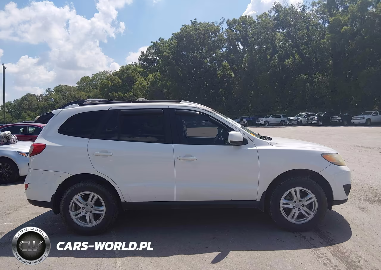 2010 Hyundai Santa Fe Se VIN:5NMSHDAG9AH356159 - 13