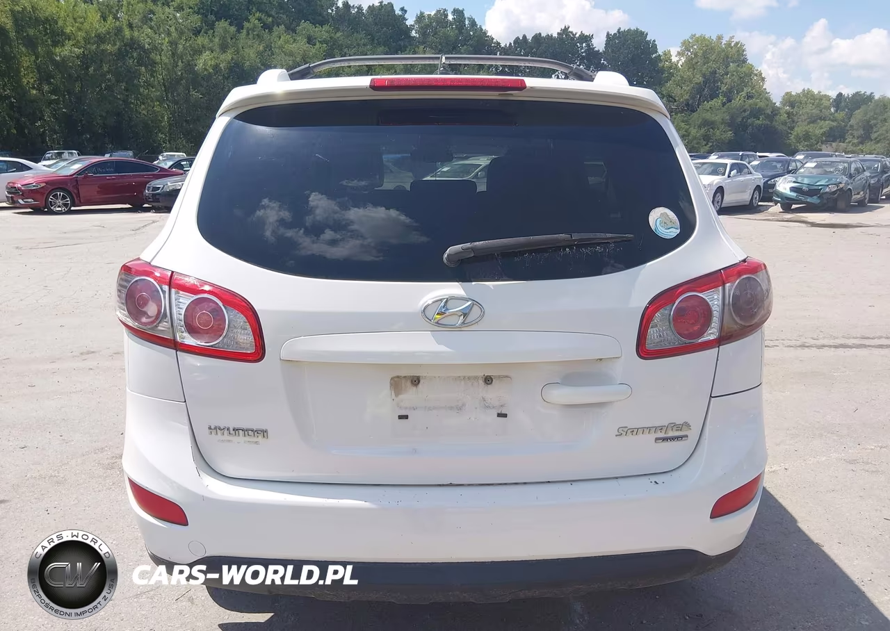 2010 Hyundai Santa Fe Se VIN:5NMSHDAG9AH356159 - 16