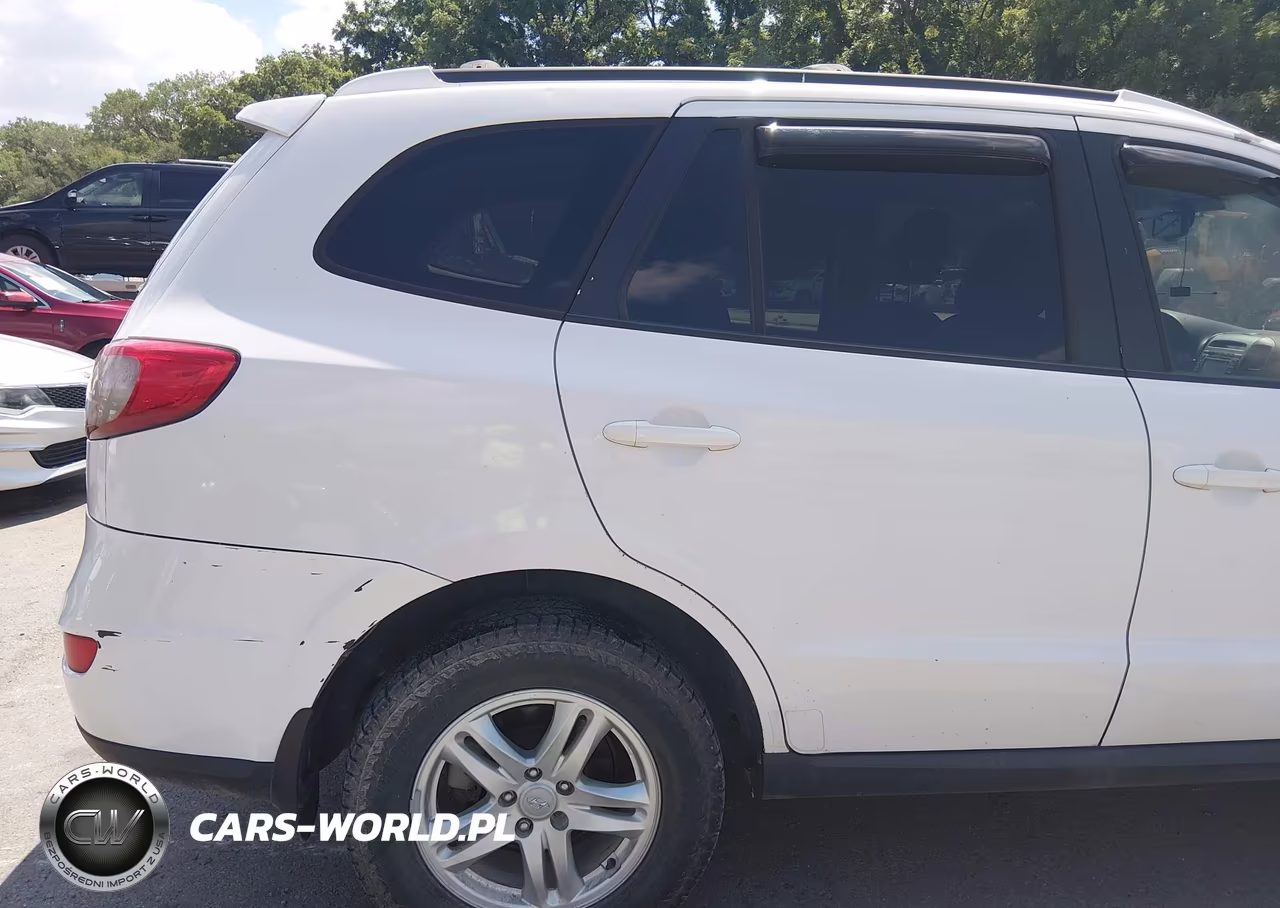 2010 Hyundai Santa Fe Se VIN:5NMSHDAG9AH356159 - 17