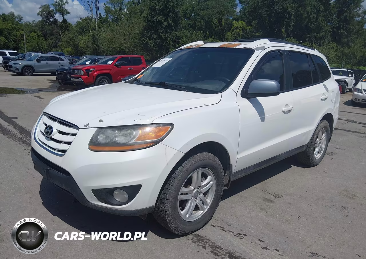2010 Hyundai Santa Fe Se VIN:5NMSHDAG9AH356159 - 2