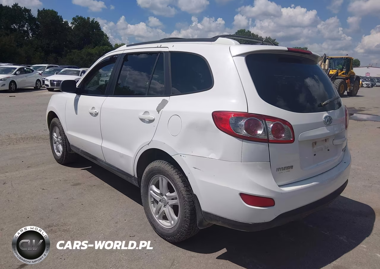 2010 Hyundai Santa Fe Se VIN:5NMSHDAG9AH356159 - 3