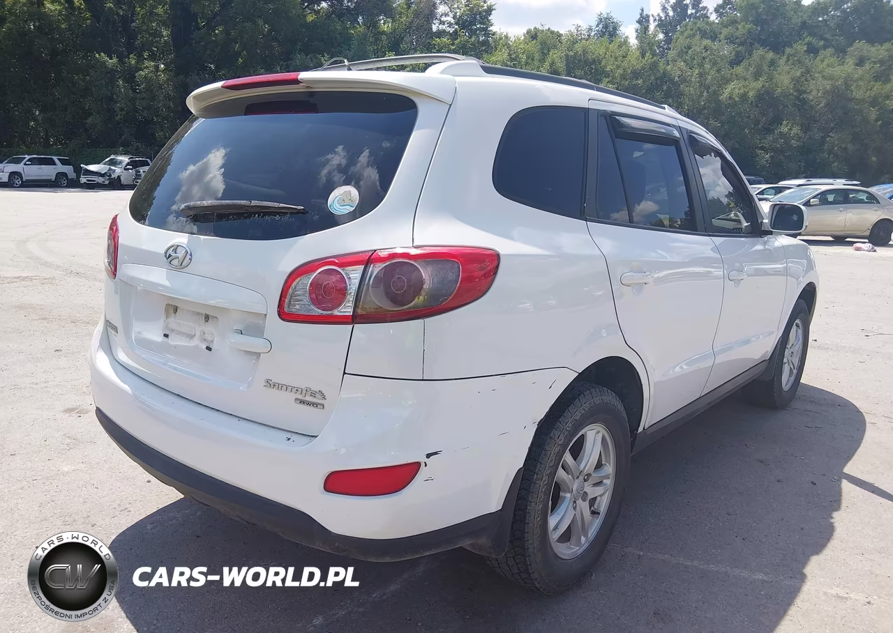 2010 Hyundai Santa Fe Se VIN:5NMSHDAG9AH356159 - 4