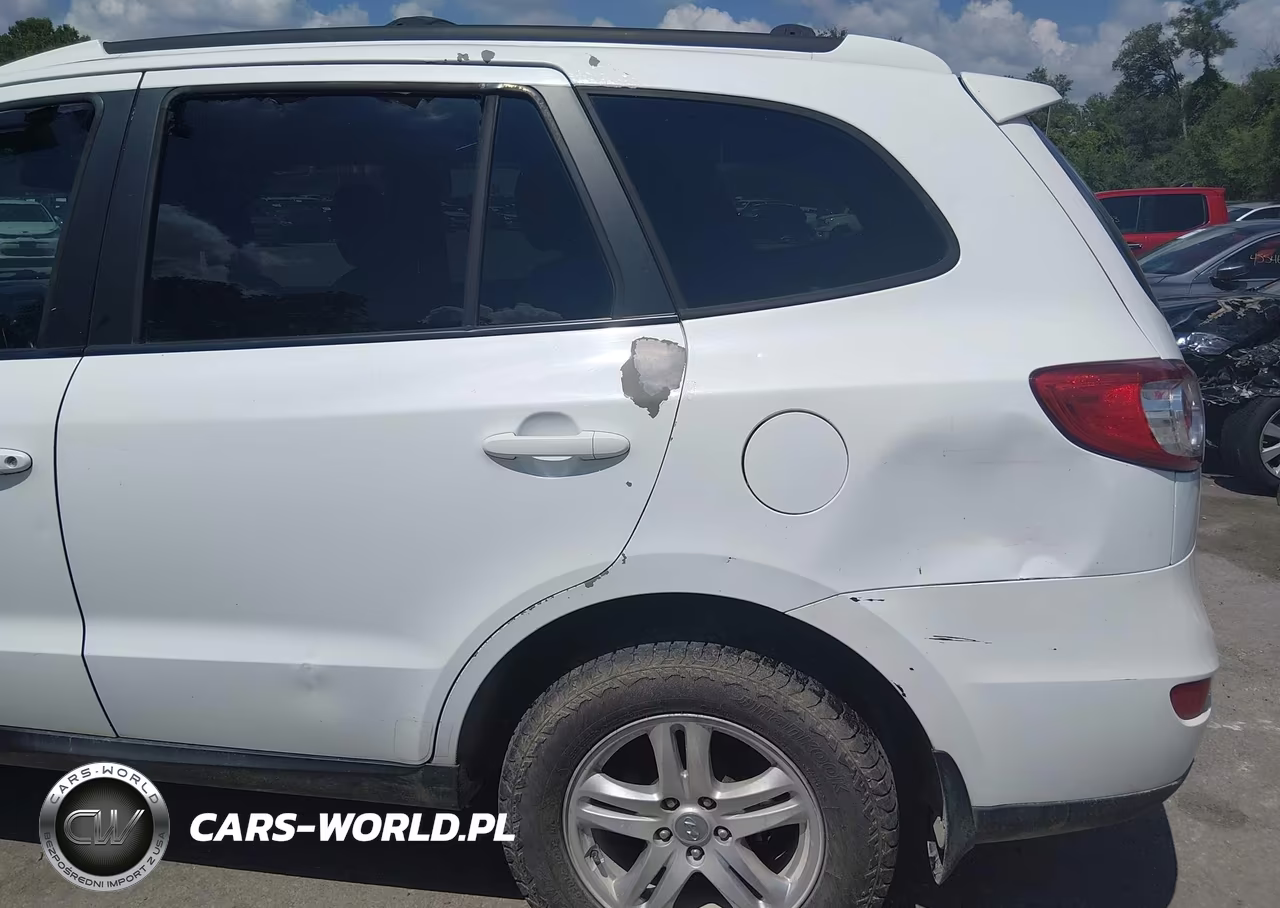 2010 Hyundai Santa Fe Se VIN:5NMSHDAG9AH356159 - 6