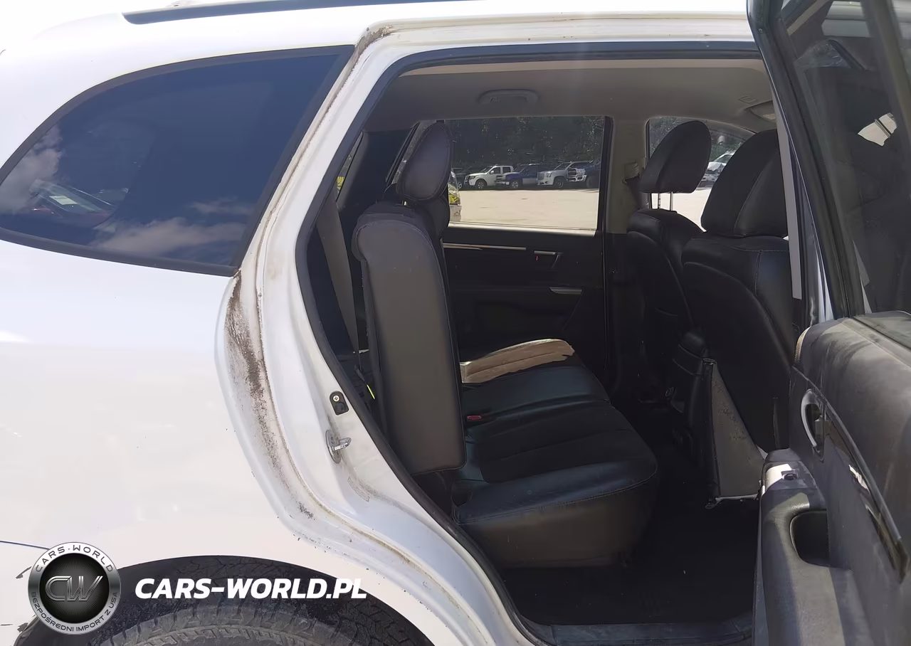 2010 Hyundai Santa Fe Se VIN:5NMSHDAG9AH356159 - 8