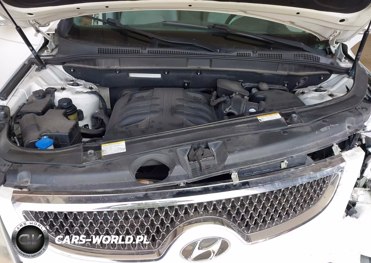 2010 Hyundai Veracruz Gls VIN:KM8NU4CC9AU108825 - 10