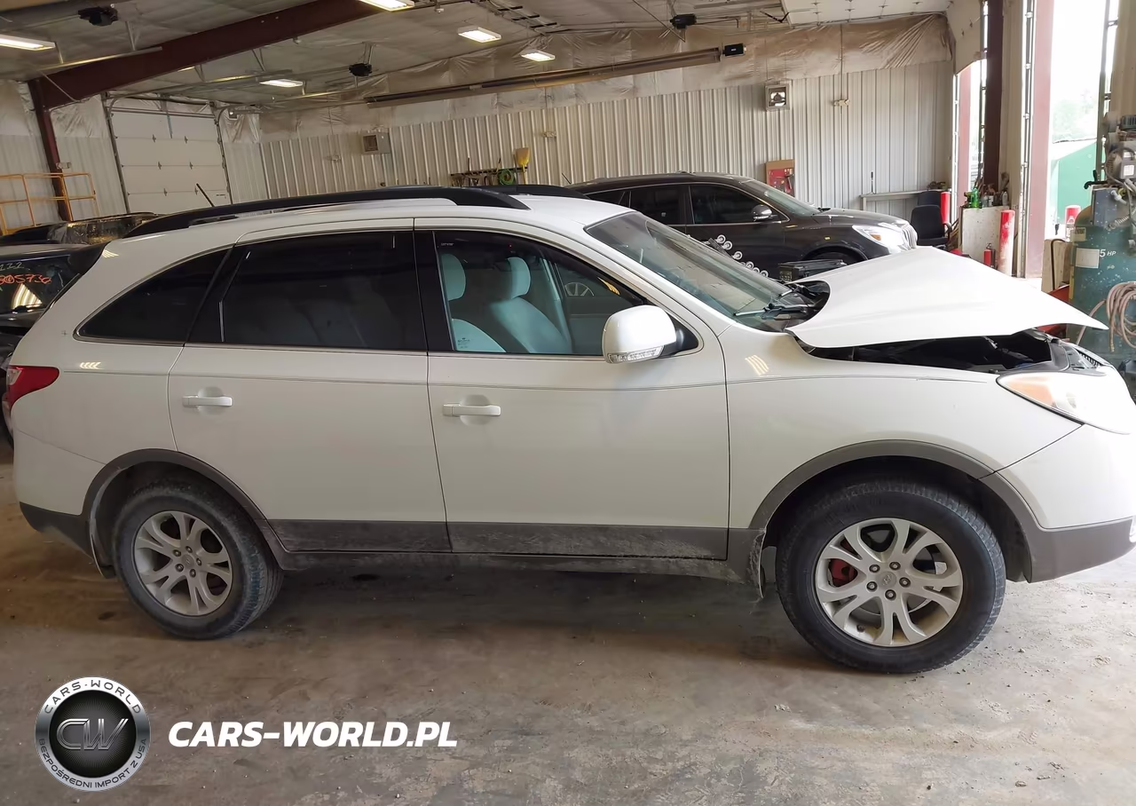 2010 Hyundai Veracruz Gls VIN:KM8NU4CC9AU108825 - 13