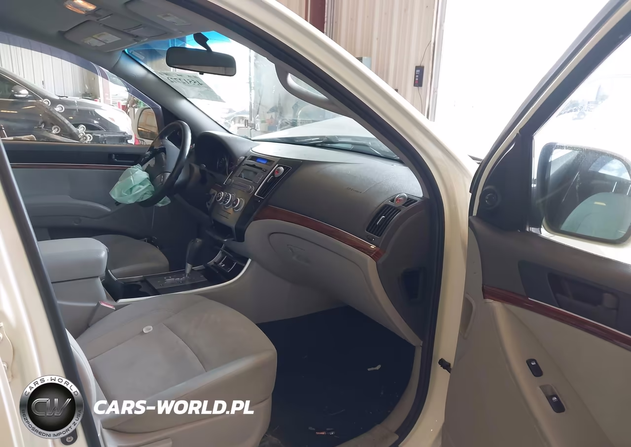 2010 Hyundai Veracruz Gls VIN:KM8NU4CC9AU108825 - 5