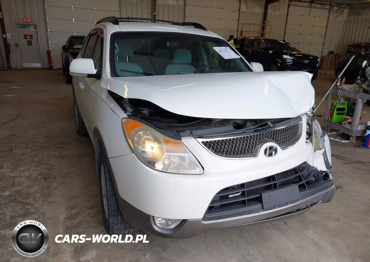 2010 Hyundai Veracruz Gls VIN:KM8NU4CC9AU108825 - 6