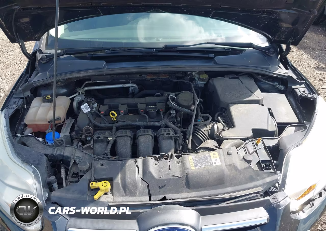 2014 Ford Focus Se VIN:1FADP3F25EL340098 - 10