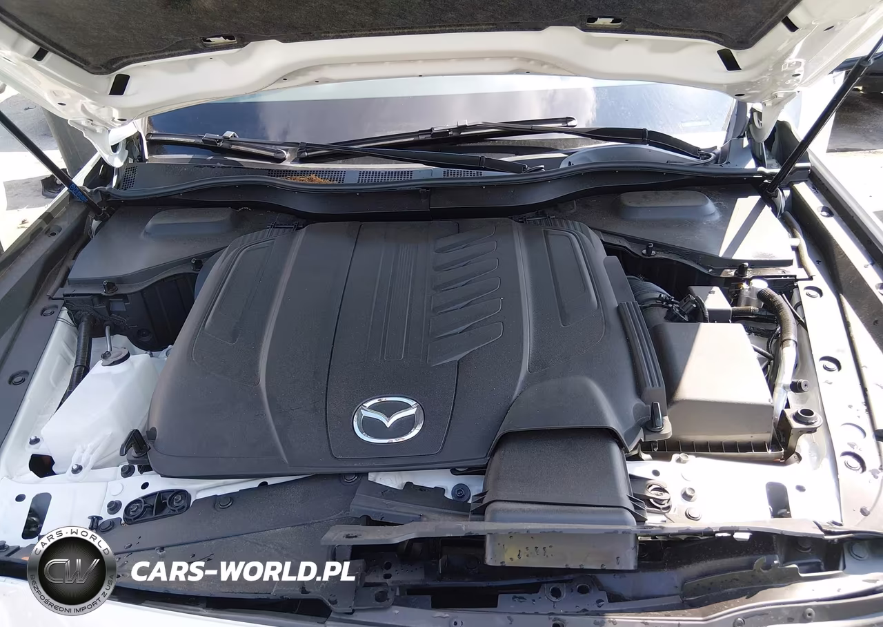 2025 Mazda Cx-90 3.3 Turbo Premium Plus Package VIN:JM3KKEHD6S1235062 - 10