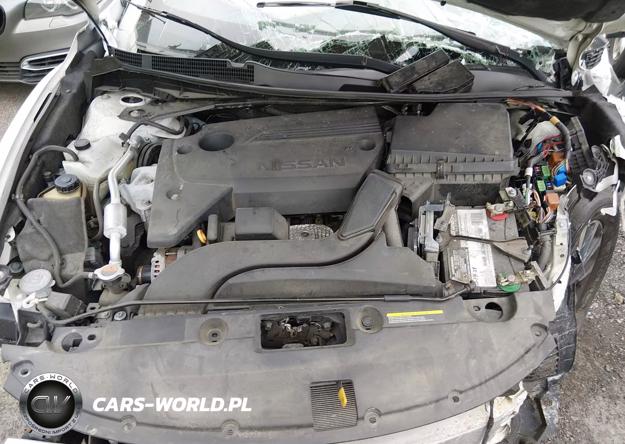 2016 Nissan Altima 2.5 Sl VIN:1N4AL3APXGC215618 - 10
