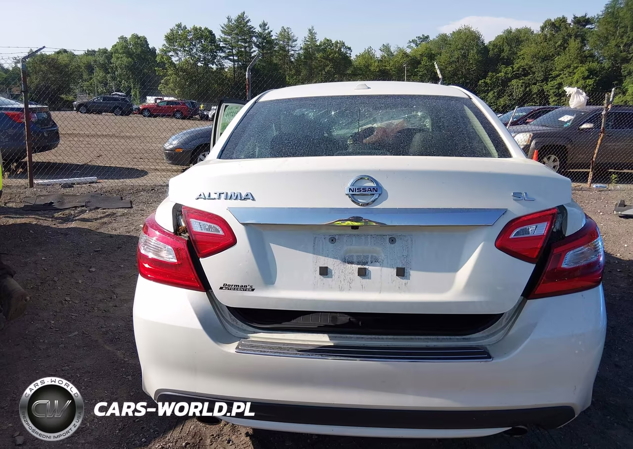 2016 Nissan Altima 2.5 Sl VIN:1N4AL3APXGC215618 - 16