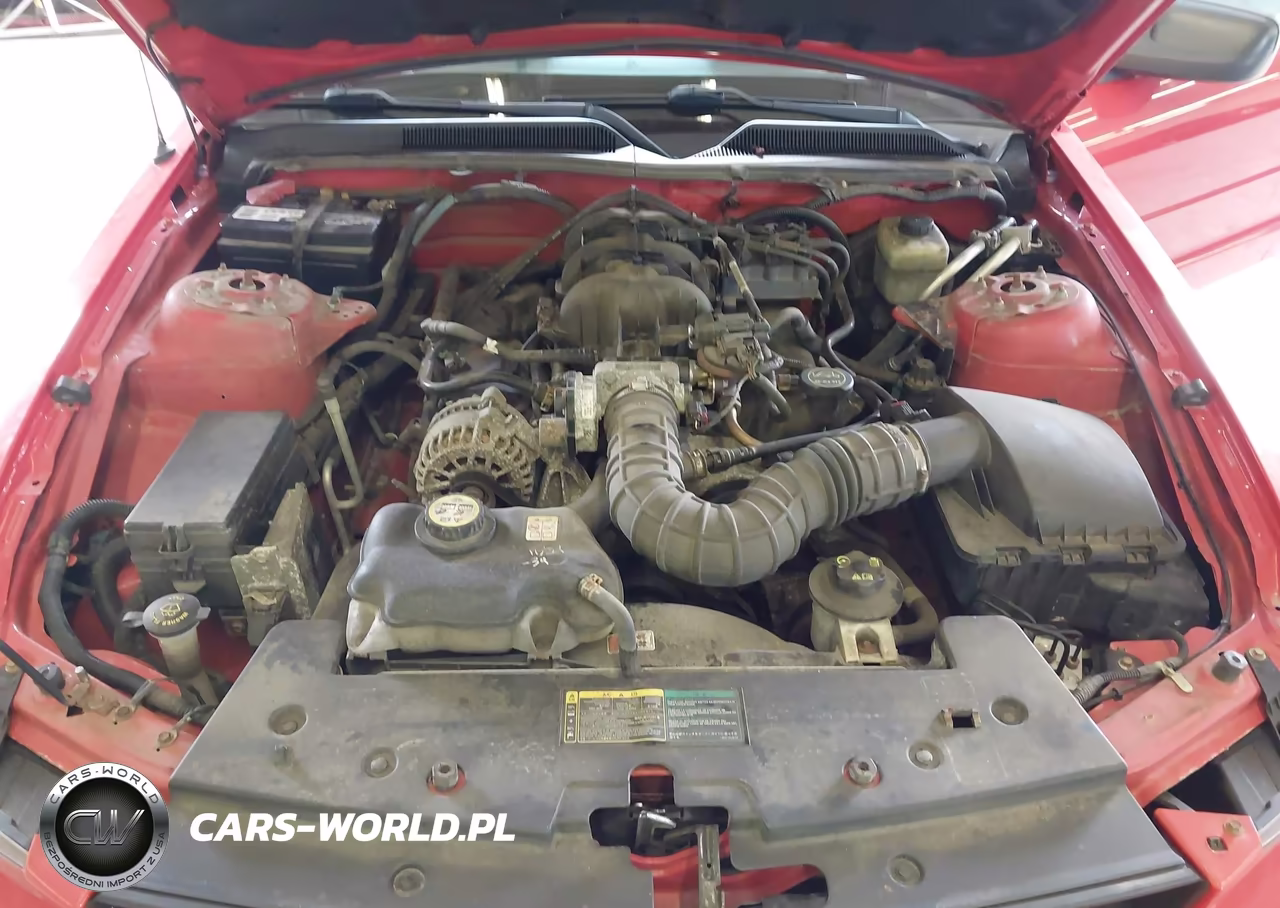 2006 Ford Mustang V6 VIN:1ZVFT84N865217553 - 10