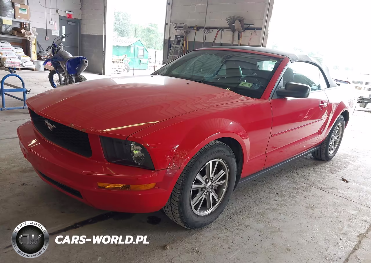 2006 Ford Mustang V6 VIN:1ZVFT84N865217553 - 2