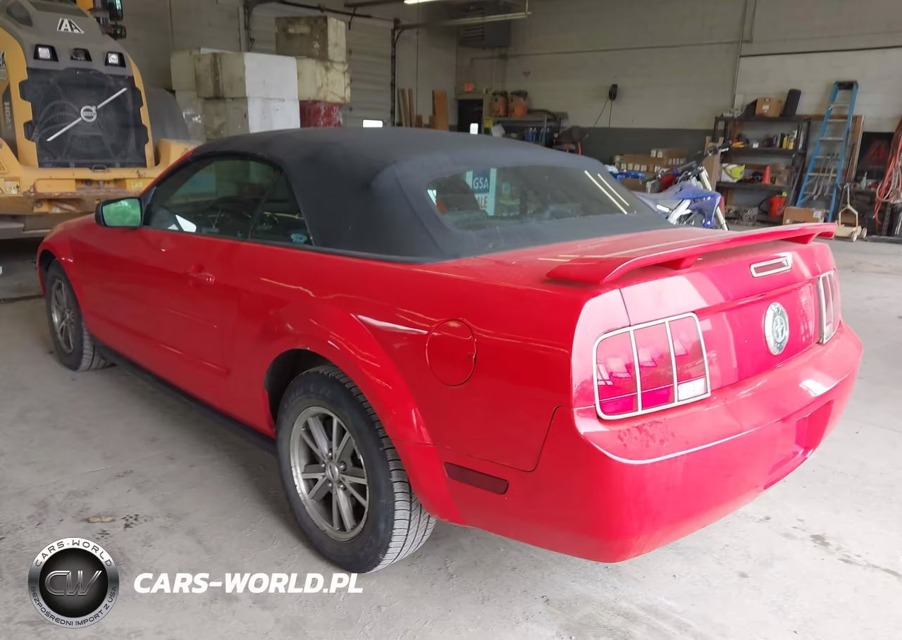 2006 Ford Mustang V6 VIN:1ZVFT84N865217553 - 3