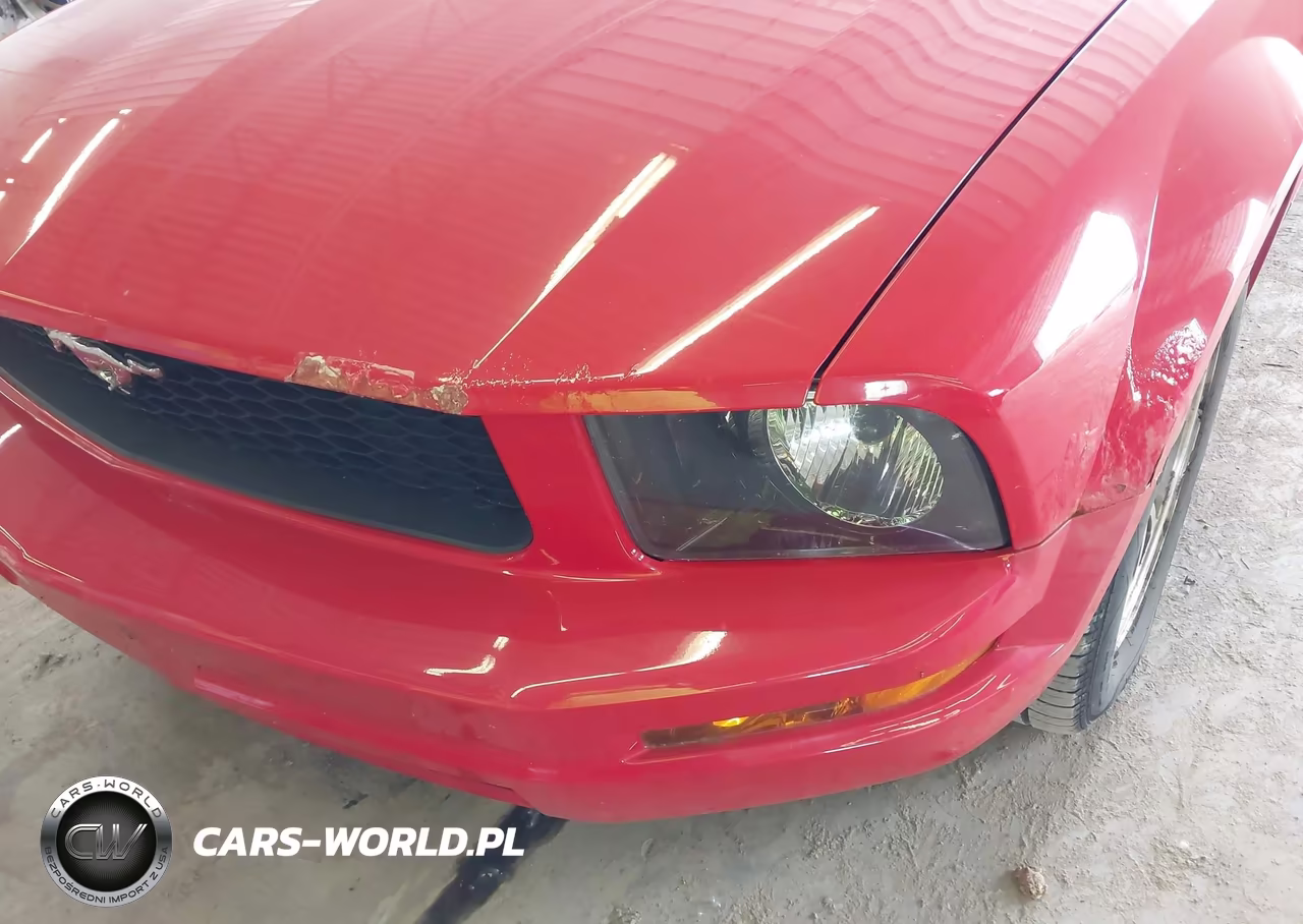 2006 Ford Mustang V6 VIN:1ZVFT84N865217553 - 6