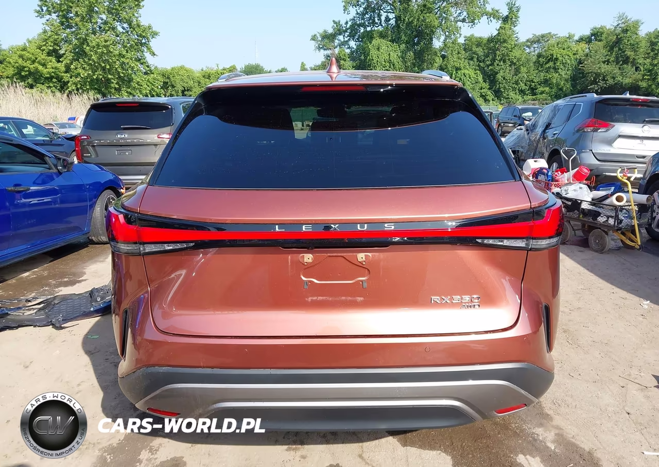 2025 Lexus Rx 350 Premium VIN:2T2BAMCA5SC101217 - 17