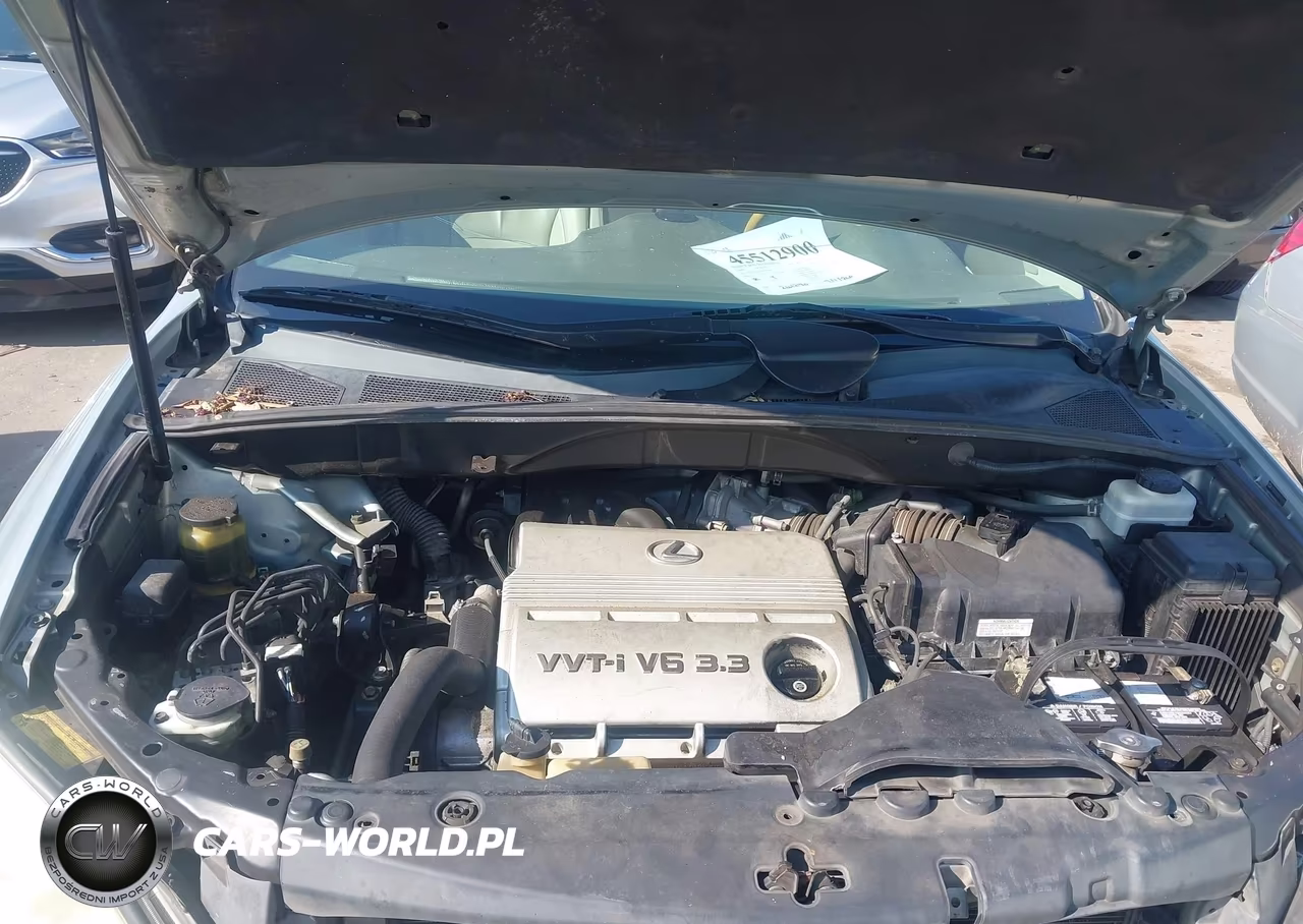 2006 Lexus Rx 330 VIN:2T2GA31U16C043318 - 10