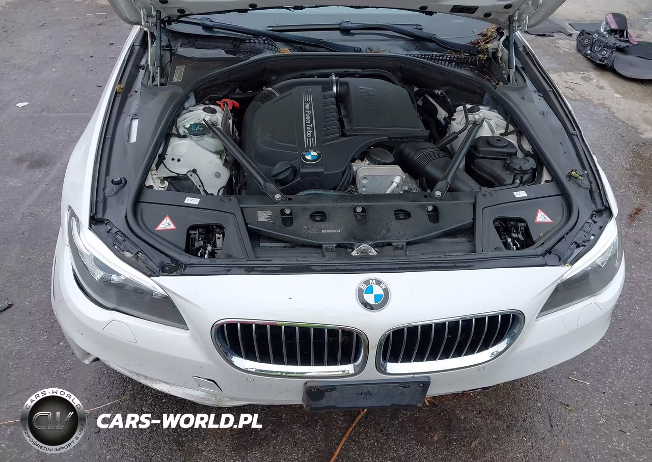 2014 BMW 535I xDrive VIN:WBA5B3C56ED534559 - 10