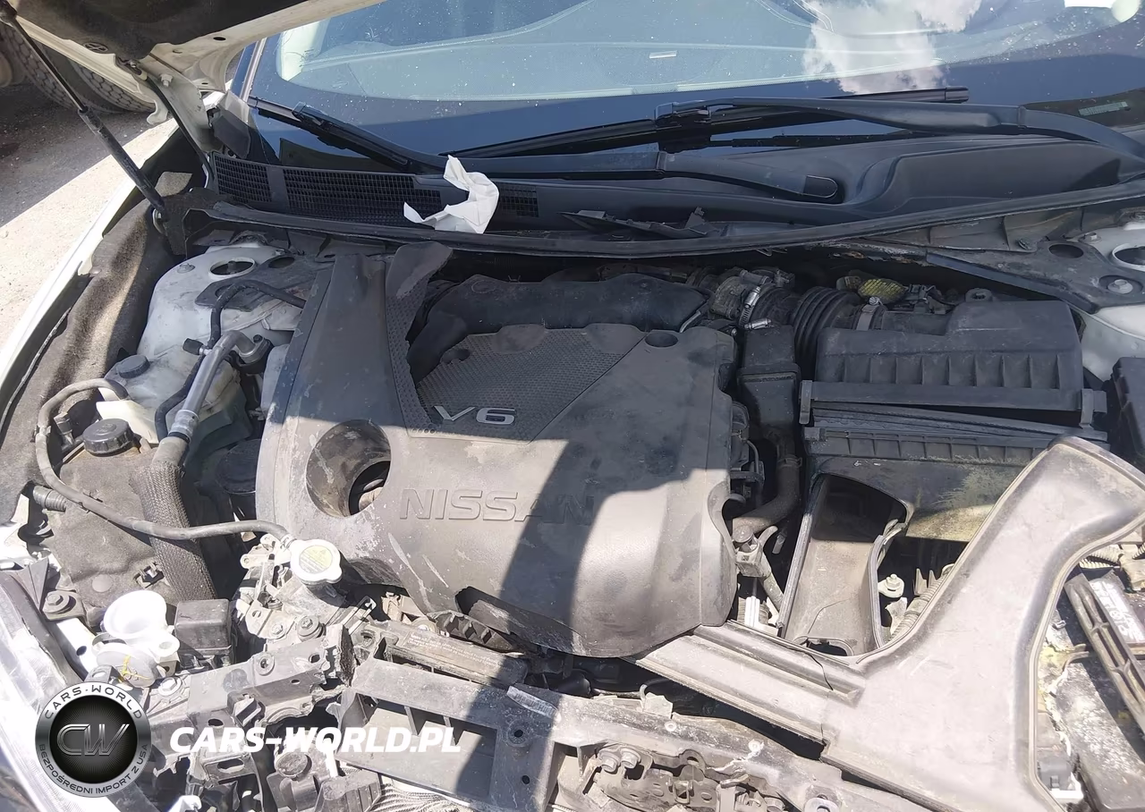 2018 Nissan Maxima 3.5 Platinum VIN:1N4AA6AP3JC396608 - 10