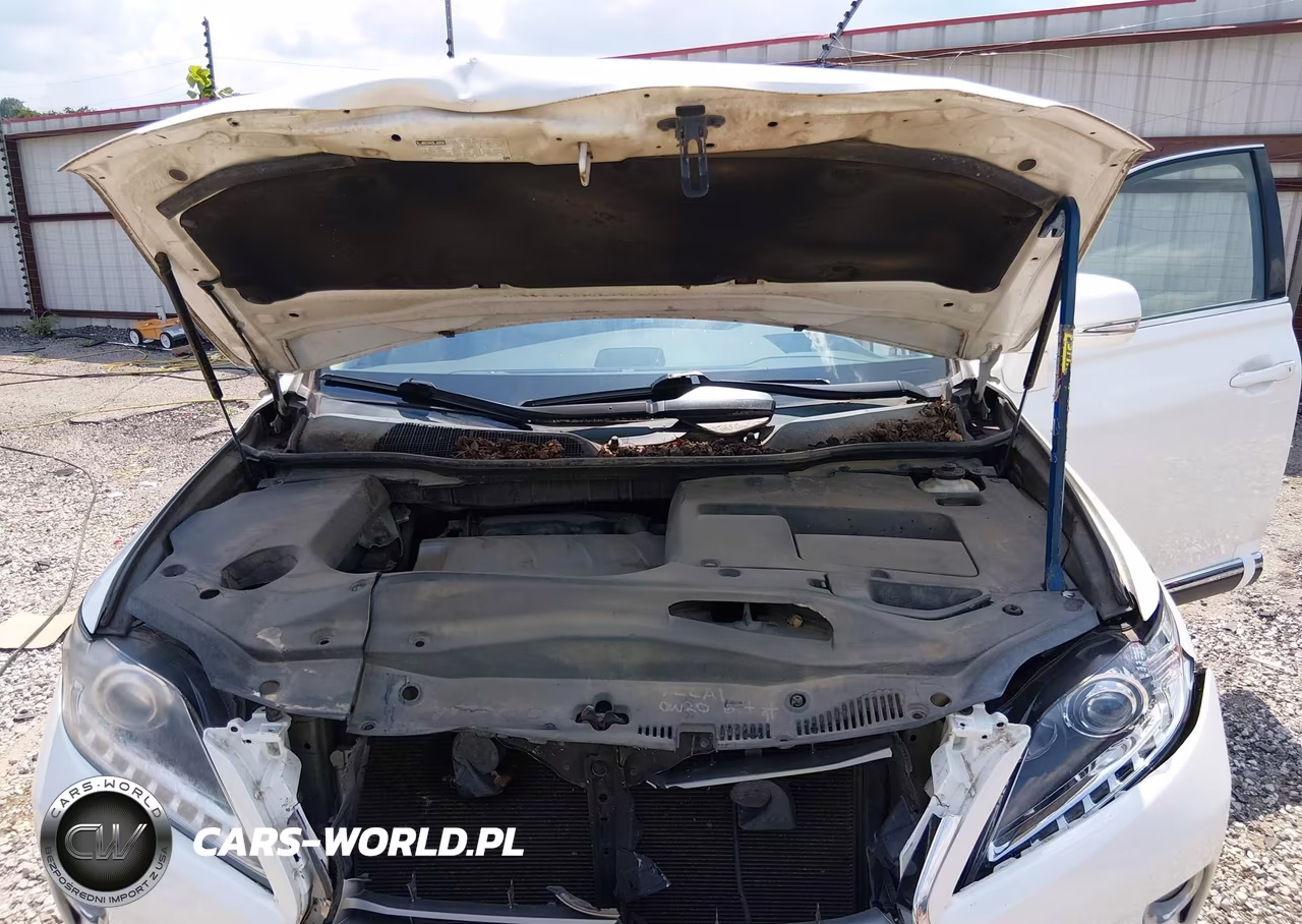 2014 Lexus Rx 350 VIN:2T2ZK1BA8EC141047 - 10