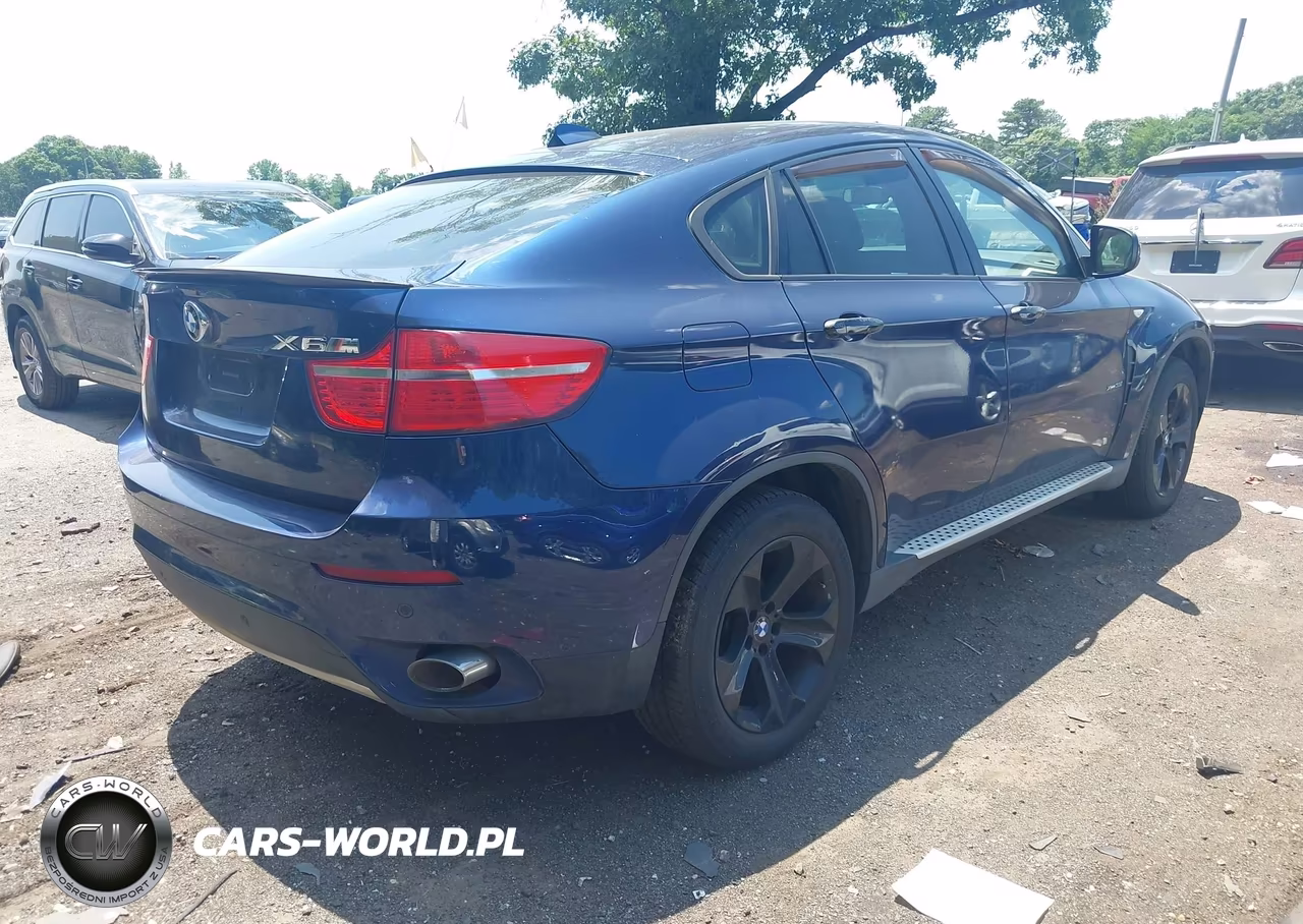 2011 BMW X6 xDrive35I VIN:5UXFG2C54BLX06414 - 4