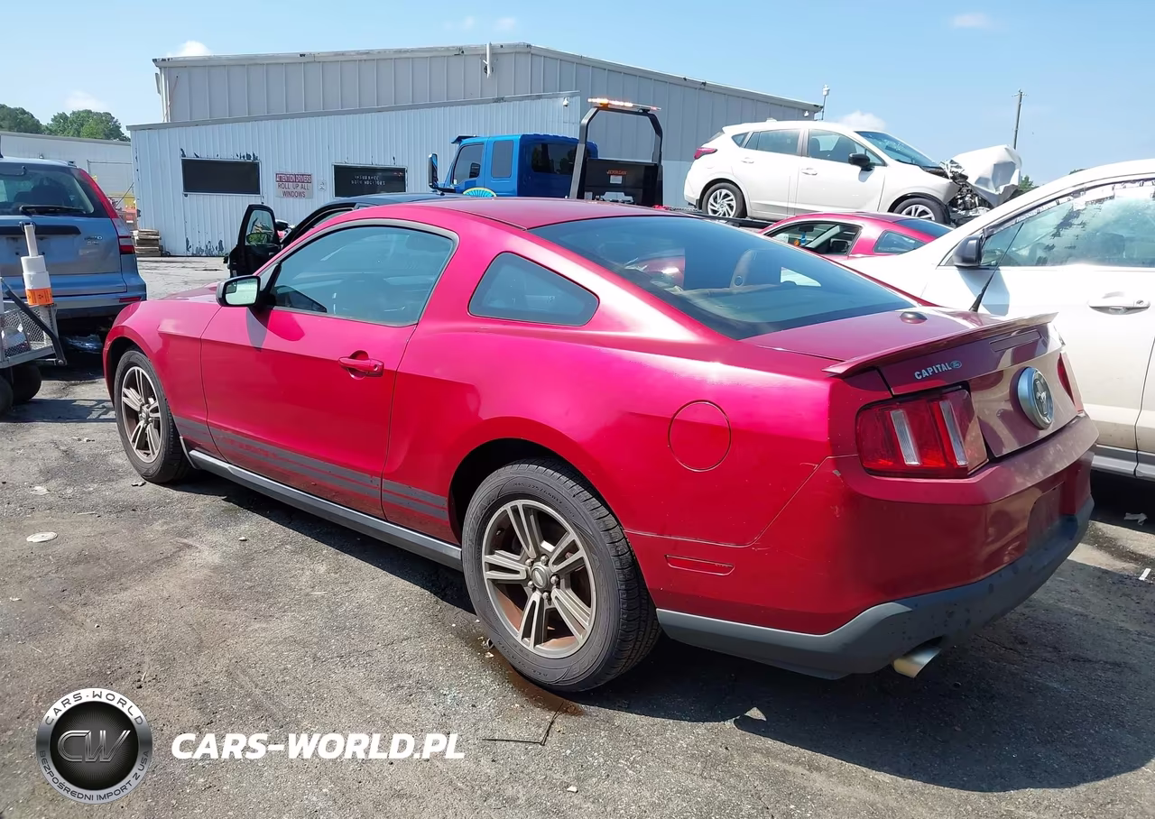 2011 Ford Mustang V6-V6 Premium VIN:1ZVBP8AM7B5119798 - 3