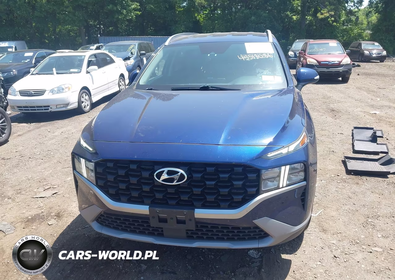 2023 Hyundai Santa Fe Sel VIN:5NMS2DAJ2PH542146 - 12