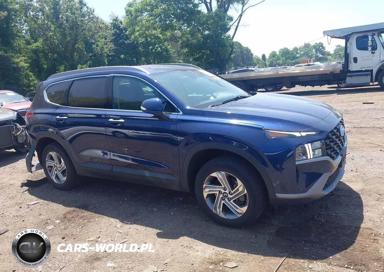 2023 Hyundai Santa Fe Sel VIN:5NMS2DAJ2PH542146 - 13