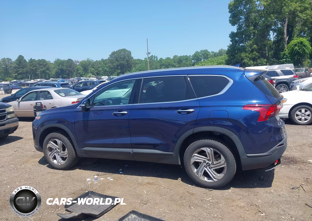 2023 Hyundai Santa Fe Sel VIN:5NMS2DAJ2PH542146 - 14