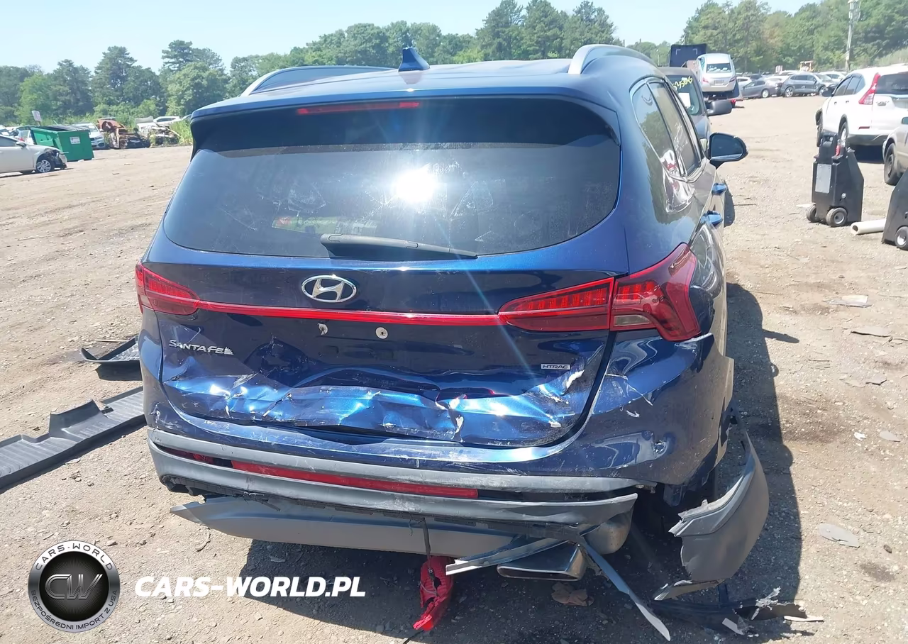 2023 Hyundai Santa Fe Sel VIN:5NMS2DAJ2PH542146 - 16