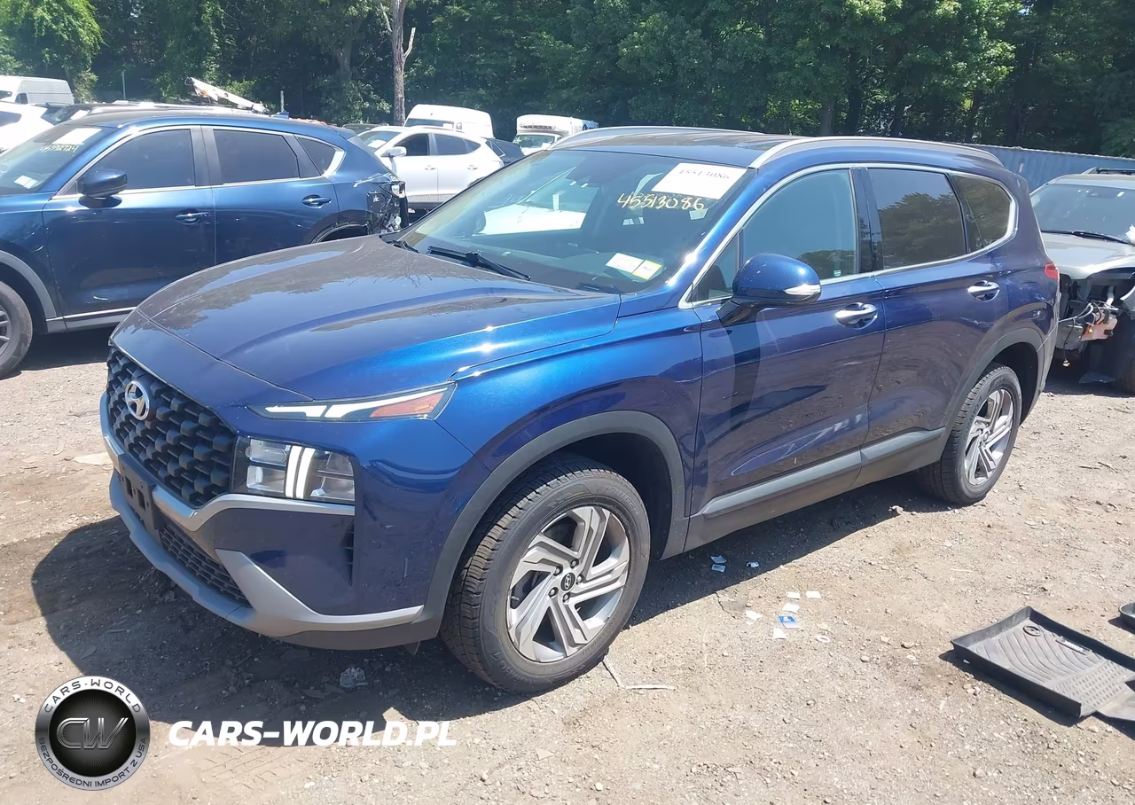 2023 Hyundai Santa Fe Sel VIN:5NMS2DAJ2PH542146 - 2