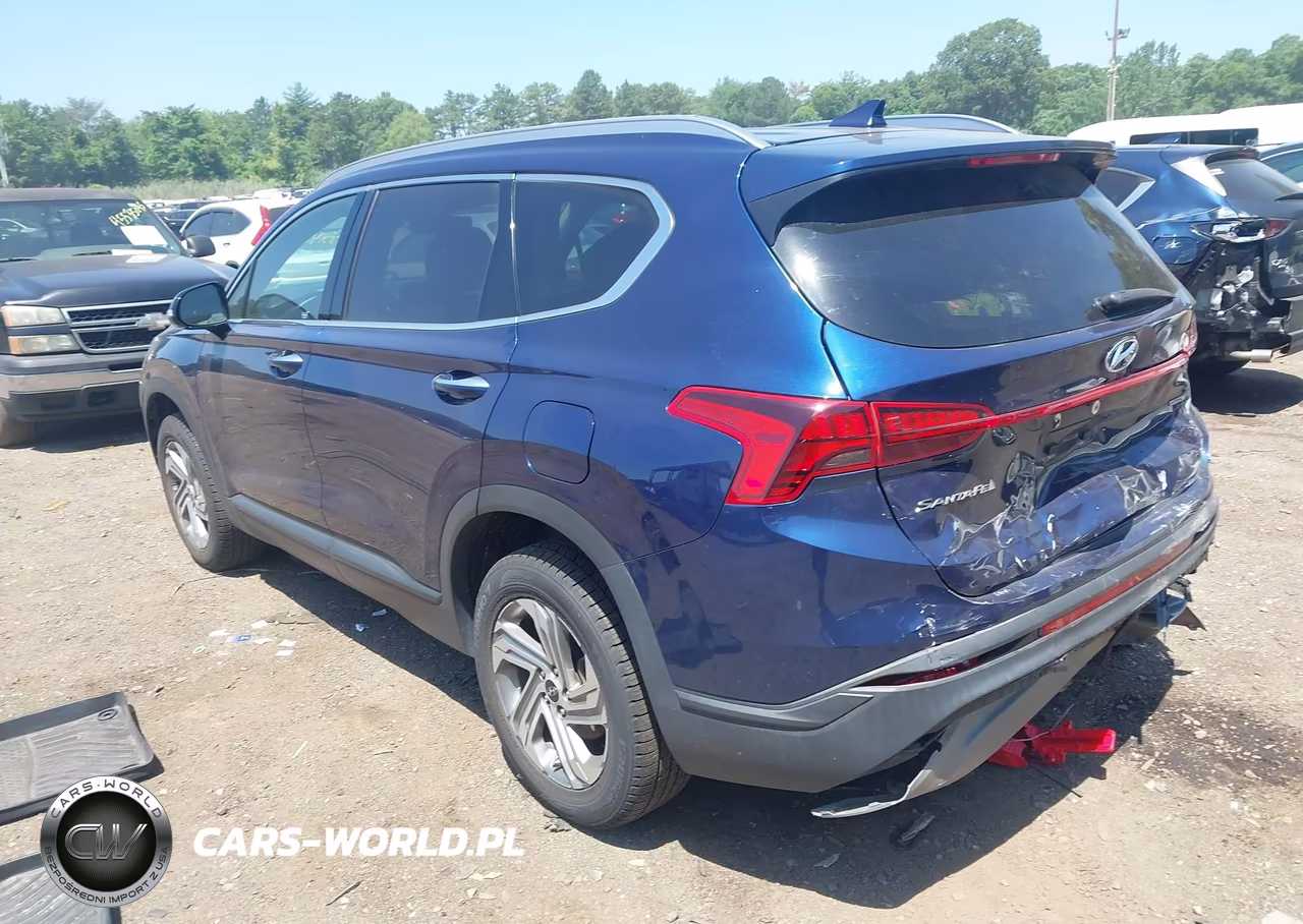 2023 Hyundai Santa Fe Sel VIN:5NMS2DAJ2PH542146 - 3