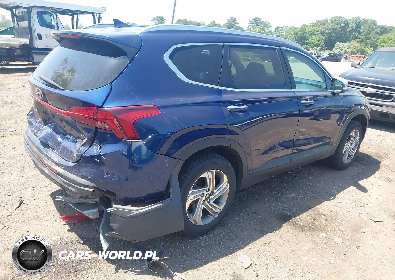 2023 Hyundai Santa Fe Sel VIN:5NMS2DAJ2PH542146 - 4