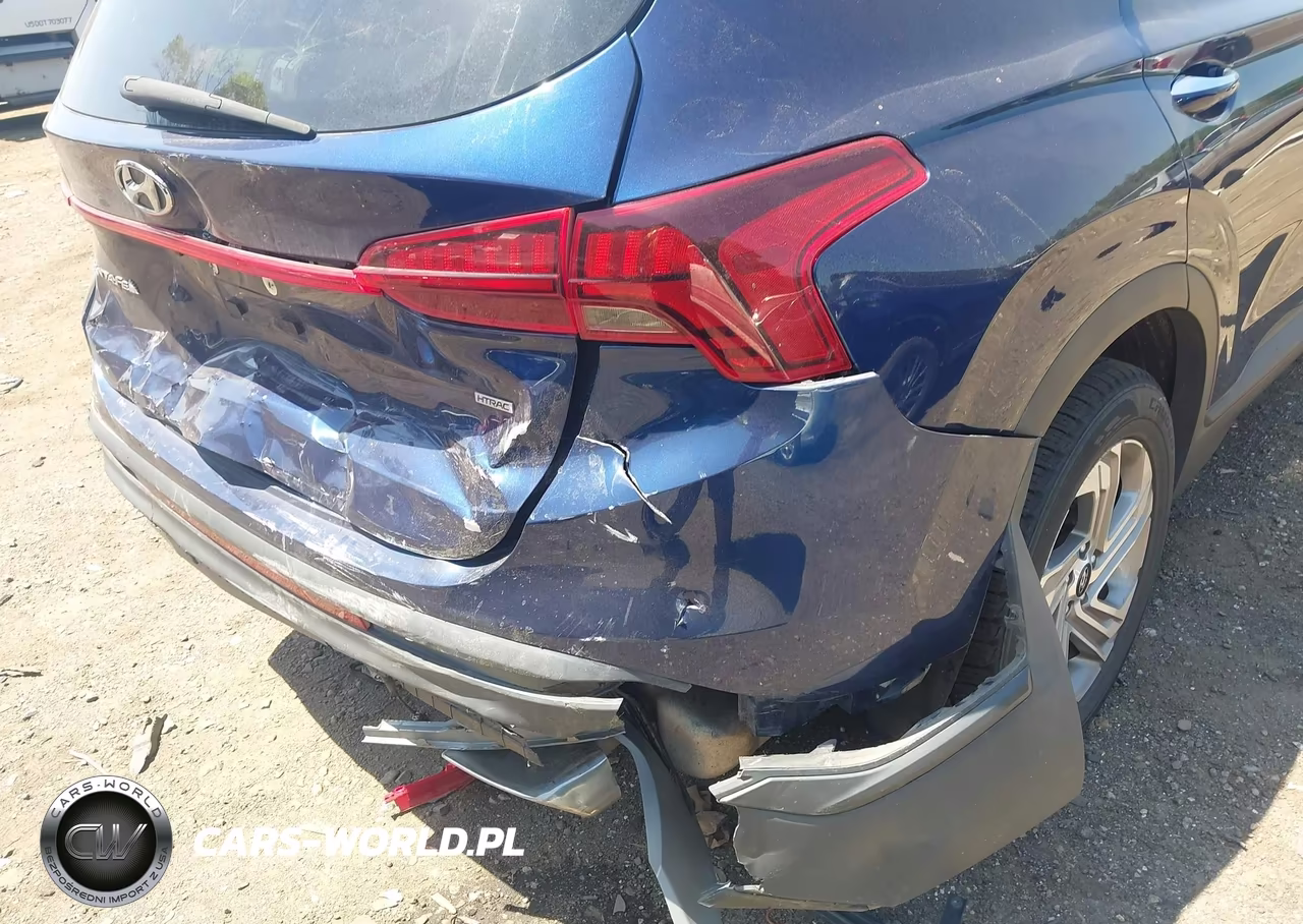 2023 Hyundai Santa Fe Sel VIN:5NMS2DAJ2PH542146 - 6