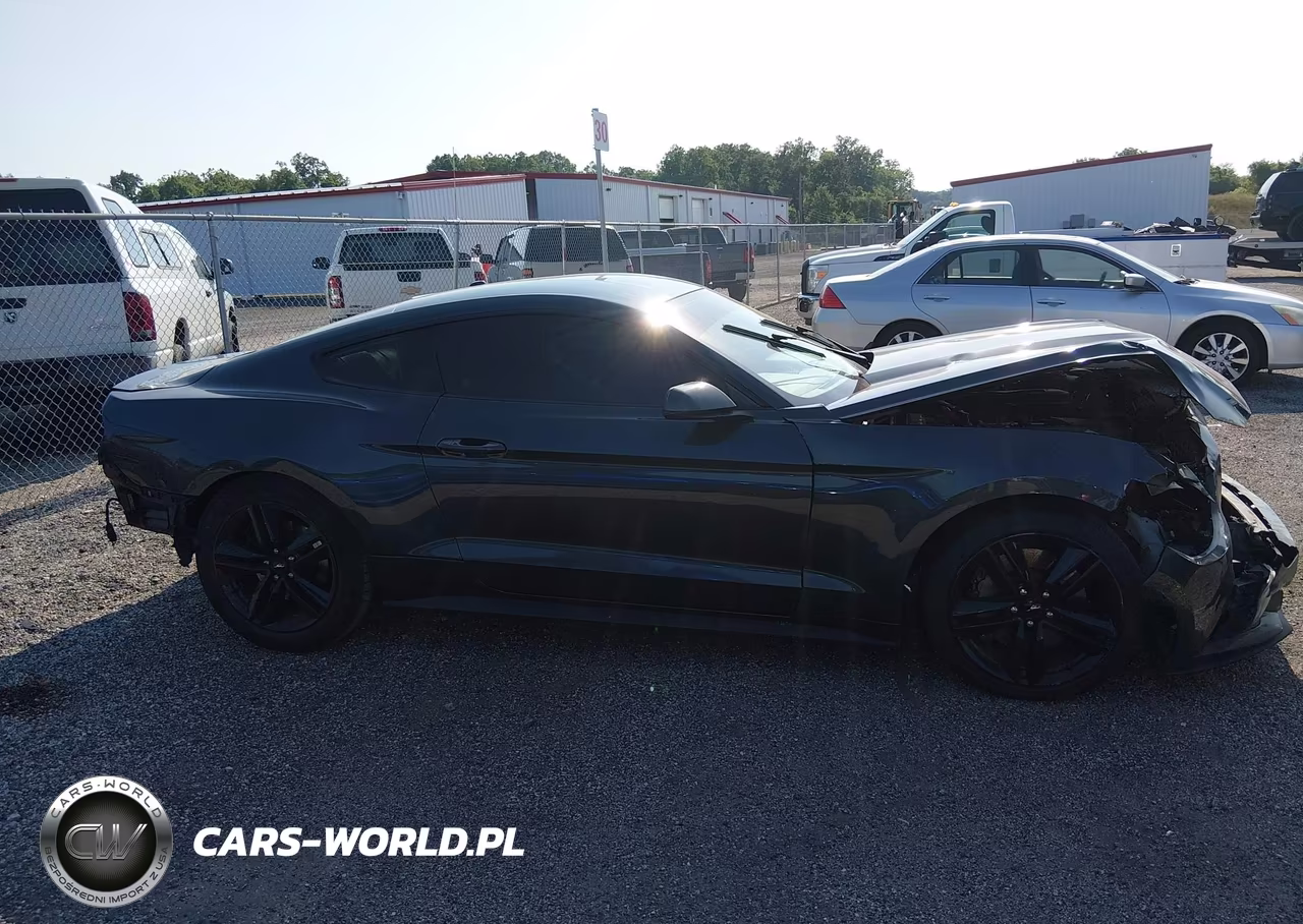 2016 Ford Mustang Ecoboost VIN:1FA6P8TH6G5227878 - 14